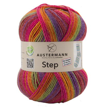 Step Color Sockenwolle 4-fach Ennis