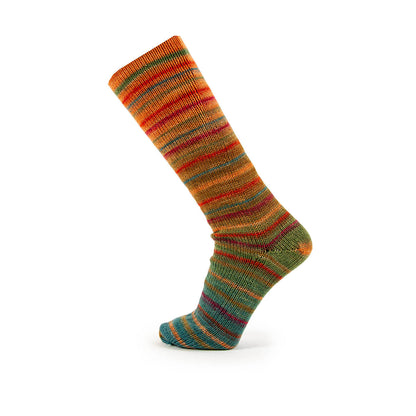Katia Sockenwolle Paradise Symmetric Socks & More 80g