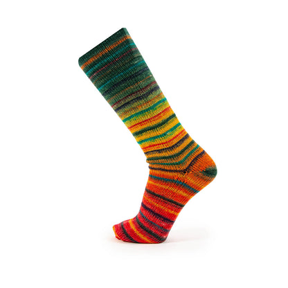 Katia Sockenwolle Paradise Symmetric Socks & More 80g