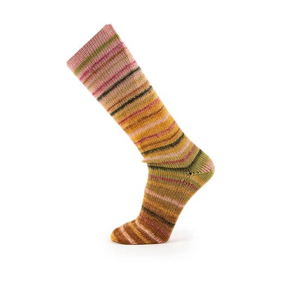 Katia Sockenwolle Paradise Symmetric Socks & More 80g